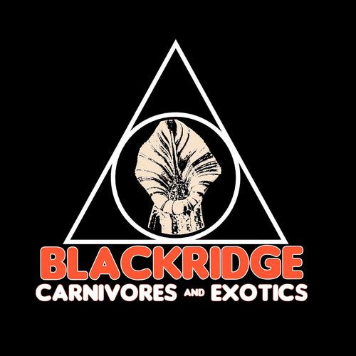 Blackridge Carnivores